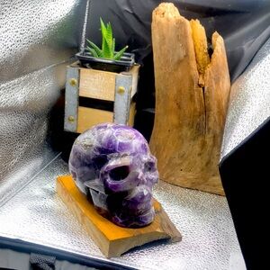 Beautiful DREAM AMETHYST SKULL